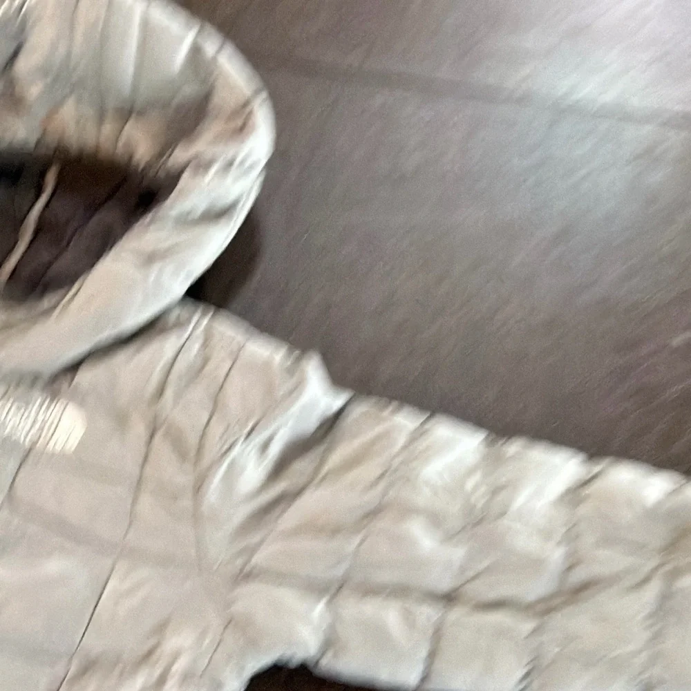 The North Face Kids Gray Hooded Puffer Jacket